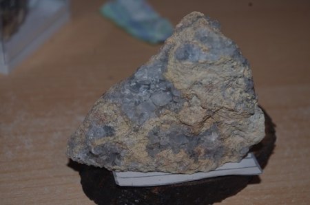 IMGP7023.JPG