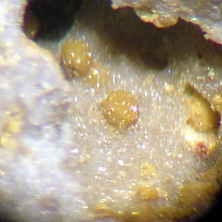 Pharmakosiderit,Saubachriss (2).JPG