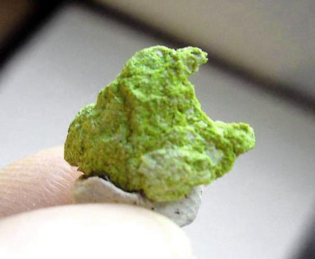 _Medmontit Gemenge aus Chrysokoll+Montmorillonit_früher Bez. Cu-Saponit_KS in MM-Größe_Victoria Mine_Elko Co._Nevada_USA_Peter.JPG