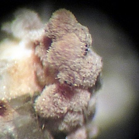 Alumohydrocalcit Graulai,Eifel.jpg