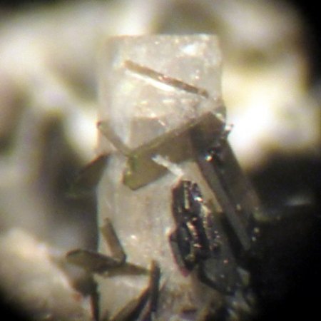 Pyroxen auf Nephelin Graulai,Eifel.JPG