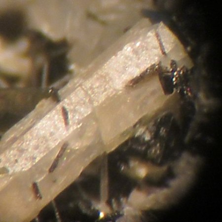 Nephelin Graulai,Eifel (2).JPG