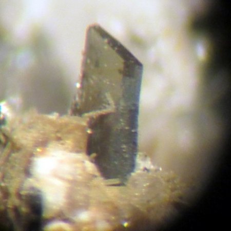 Pyroxen Graulai,Eifel (1).JPG