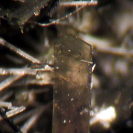 Pyroxen Graulai,Eifel (2).JPG