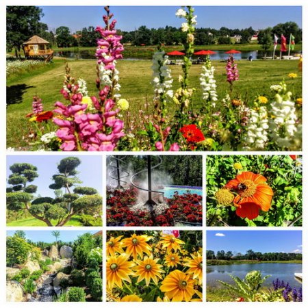 DSC_0010-COLLAGE.jpg