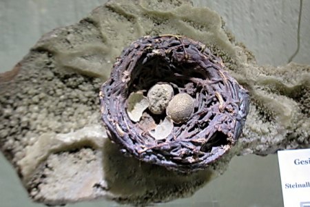 Steinalbtal b. Baumholder.JPG