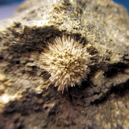 Natrolith mit Kruste aus Montmorrilonit Zeilberg,Maroldsweisach.JPG