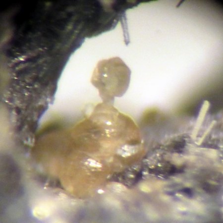 Calcit und Phillipsit-Pseudomorphosen .JPG