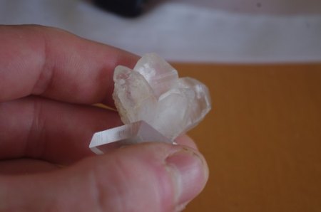 IMGP7295.JPG