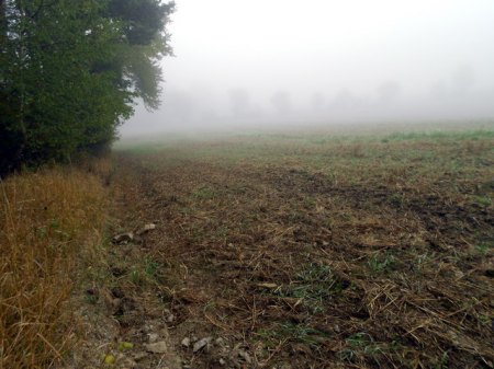 Acherwiese (1).JPG