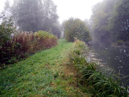 Acherwiese (5).JPG