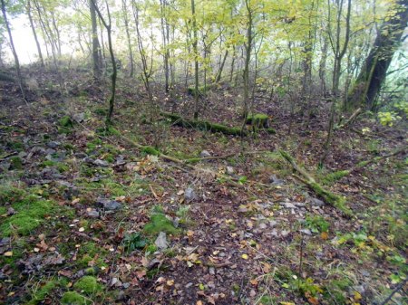 Acherwiese (7).JPG