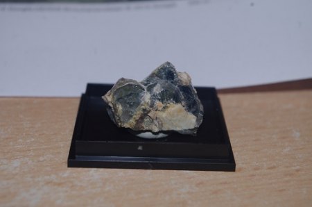 IMGP7618.JPG