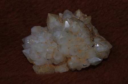 IMGP7752.JPG