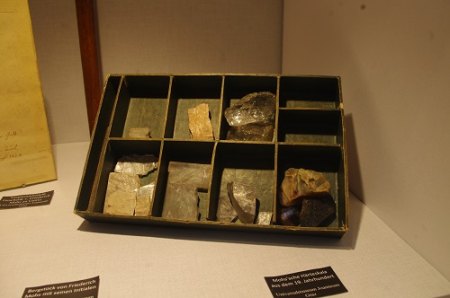 IMGP7644.JPG