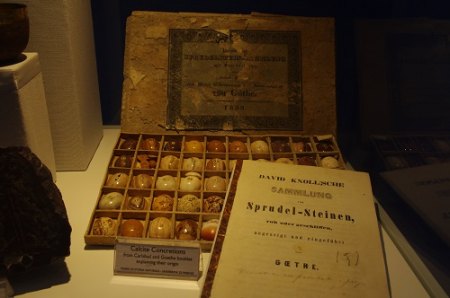 IMGP7651.JPG