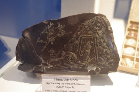 IMGP7650.JPG