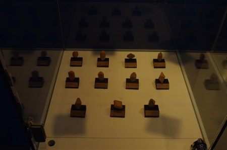 IMGP7681.JPG
