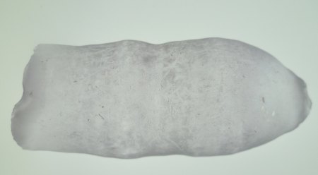 synthetisch Korund Halbbirne nach Verneuil von Djeva große Größe für Uhrenglas Saphirglas.JPG