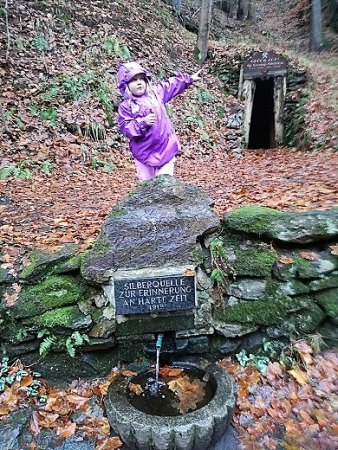 IMG_20161119_113635.jpg