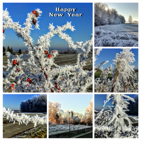 DSC_0001-COLLAGE.jpg