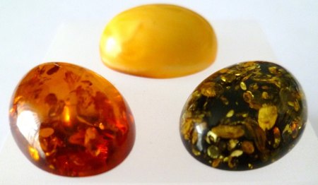 Bernstein oval Cab 20x15 mm.JPG