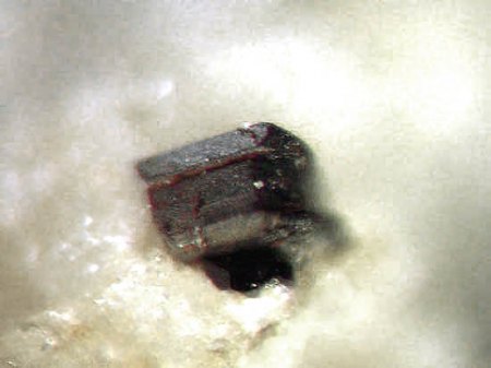Pyroxmangit xx_Bellerberg_Ettringen_Mayen_Eifel_Peter_2.JPG