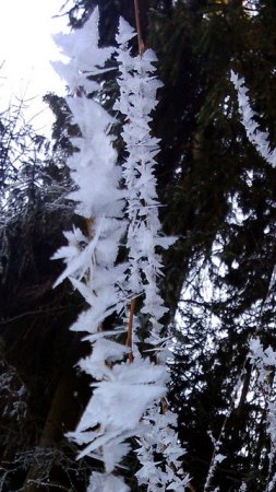 DSC_0012.jpg