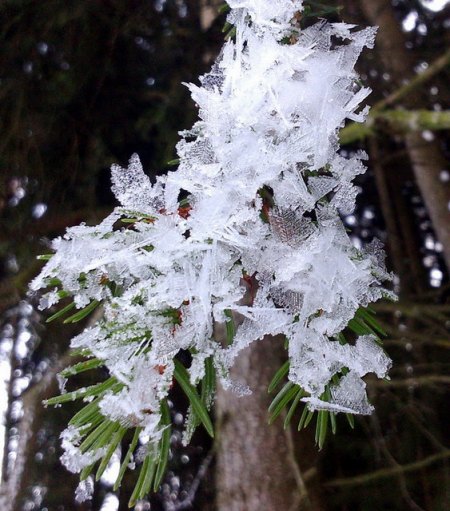 DSC_0009.jpg