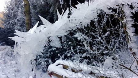 DSC_0014.jpg