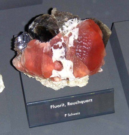 _terra mineralia_Fluorit Rauchquarz_Schweiz_Peter_16.10.10.JPG