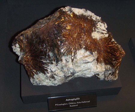 _terra mineralia_Astrophyllit_Eveslogschorr_Chibiny_Kola-Halbinsel_Russland_Peter_16.10.10.JPG