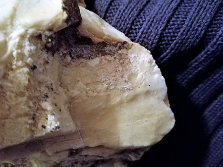 IMG_20170304_180937.jpg