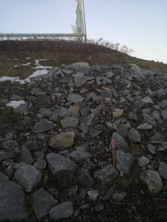 IMG_20170215_173147.jpg