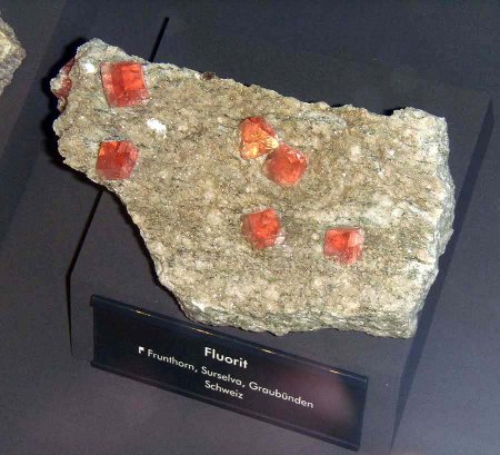 _terra mineralia_Fluorit Surselva_Graubünden_Schweiz_Peter_16.10.10.JPG