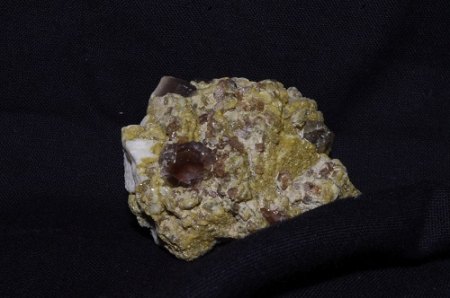 IMGP8555.JPG
