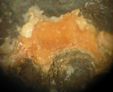 Rhodochrosit (Hohenkirchen).jpg