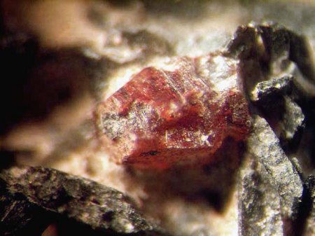 Kentbrooksit_Aegirin_Yukspor_Chibiny_Kola_Peter.jpg