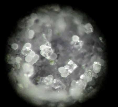 _Quarz xx analys. Oktaeder zw. Calcit xx auf grünem Chlorit_BB 0.5 mm_Irai_Alto Uruguai Reg._Rio Grande do Sul_Brasilien_Peter_3.JPG