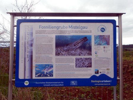 Mistelgau 1DSCN9930.jpg