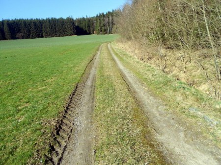 Hopfau (1).jpg