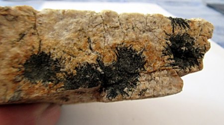 Schörl Sandgrube  b. Braunersgrün.JPG