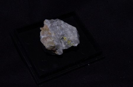 IMGP8992.JPG