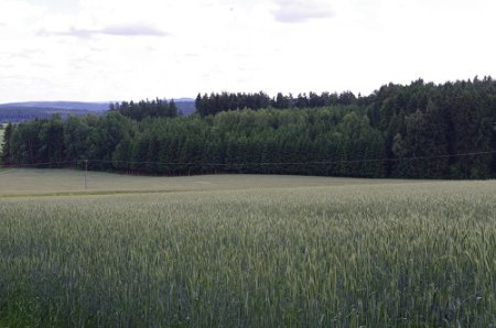 IMGP8999.JPG