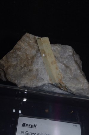 IMGP9063.JPG