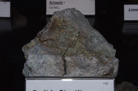 IMGP9064.JPG