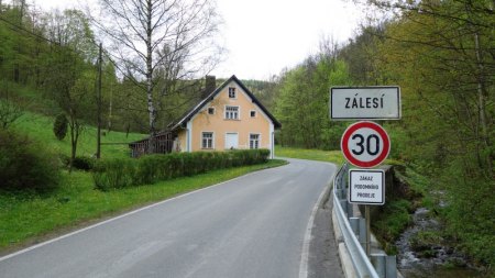 zalesi1.jpg