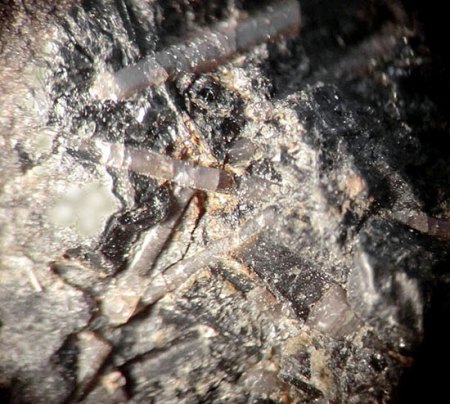 _Hydroxylapatit xx in Basalt_EF 5.7.17_BB 6 mm_Schw. Steinkaut_Erbsenacker_WI-Naurod_Hessen_Ts_Peter_8.JPG