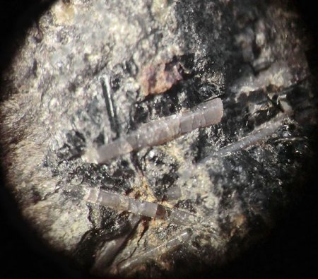 _Hydroxylapatit xx in Basalt_EF 5.7.17_BB 6 mm_Schw. Steinkaut_Erbsenacker_WI-Naurod_Hessen_Ts_Peter_6.JPG