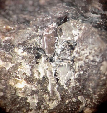 _Hydroxylapatit xx in Basalt_EF 5.7.17_BB 5 mm_Schw. Steinkaut_Erbsenacker_WI-Naurod_Hessen_Ts_Peter_11.JPG